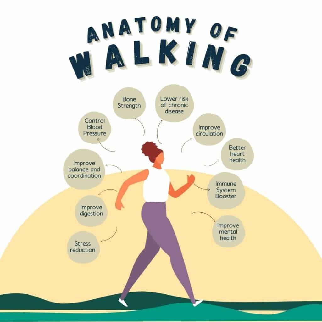 Walking programs